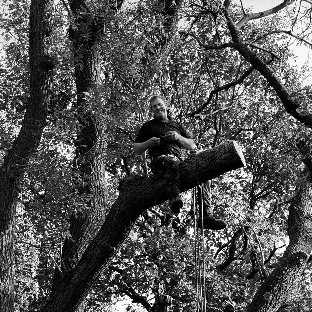 Tree work on the farm